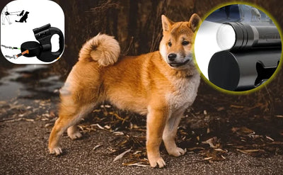 Double Dog Leash for Two Dogs – Tangle-Free Dual Leash with Swivel + LED Flashlight, Adjustable for Small & Large Dogs